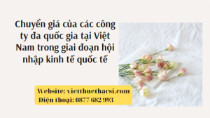 Luận văn giải pháp chuyển giá của các công ty đa quốc gia