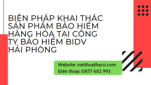 Luận văn thực trạng khai thác sản phẩm bảo hiểm hàng hóa tại công ty BIC